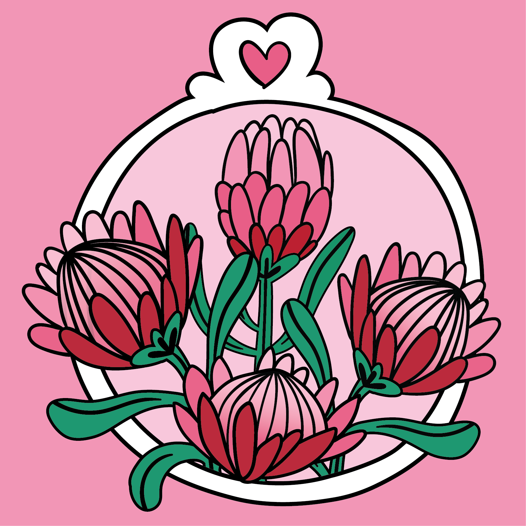 PINK PROTEA