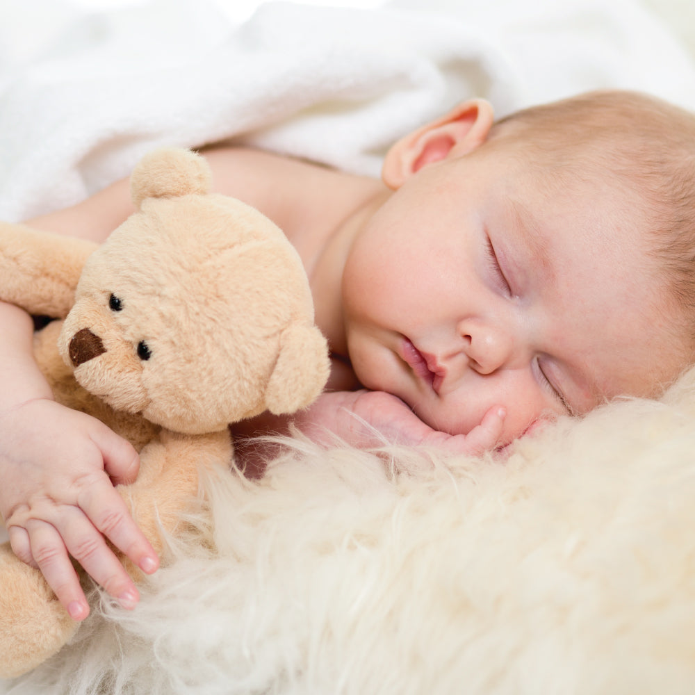 CUDDLES AND COMFORTS