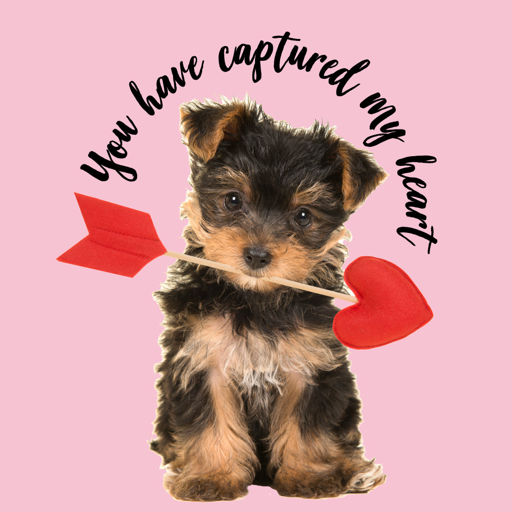VALENTINES GIFTS