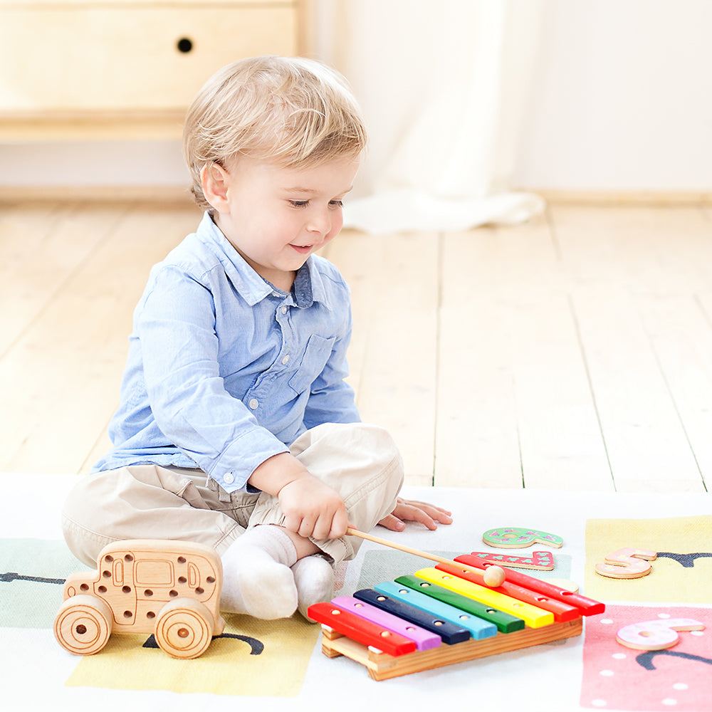 TODDLER ENTERTAINMENT