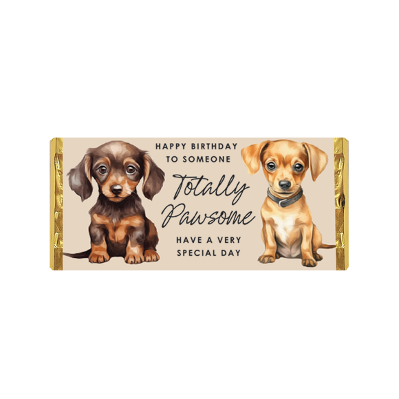 CHOCOLATE 100G PAWSOME BIRTHDAY DAXIE AND CHICHI