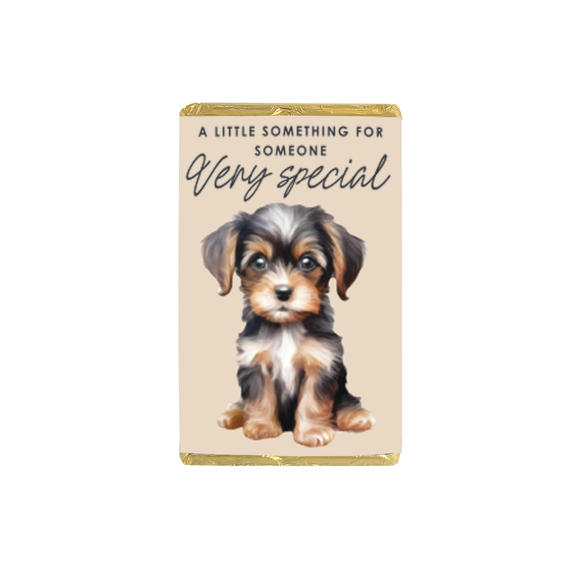 CHOCOLATE 45G PAWSOME VERY SPECIAL YORKIE