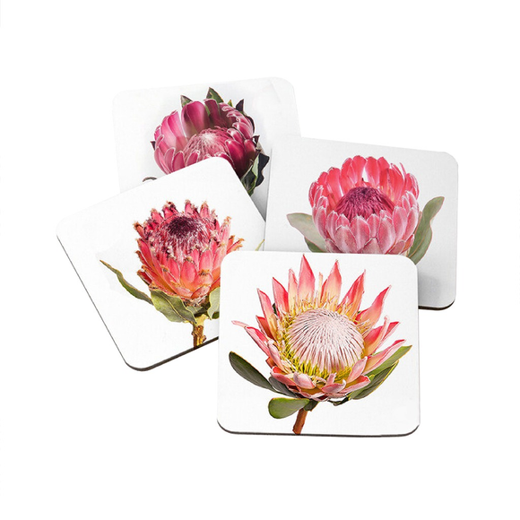 COASTERS CLASSIC PROTEA