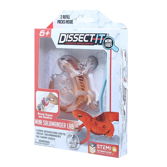DISSECT-IT MINI SALAMANDER WITH MAGNIFYING GLASS