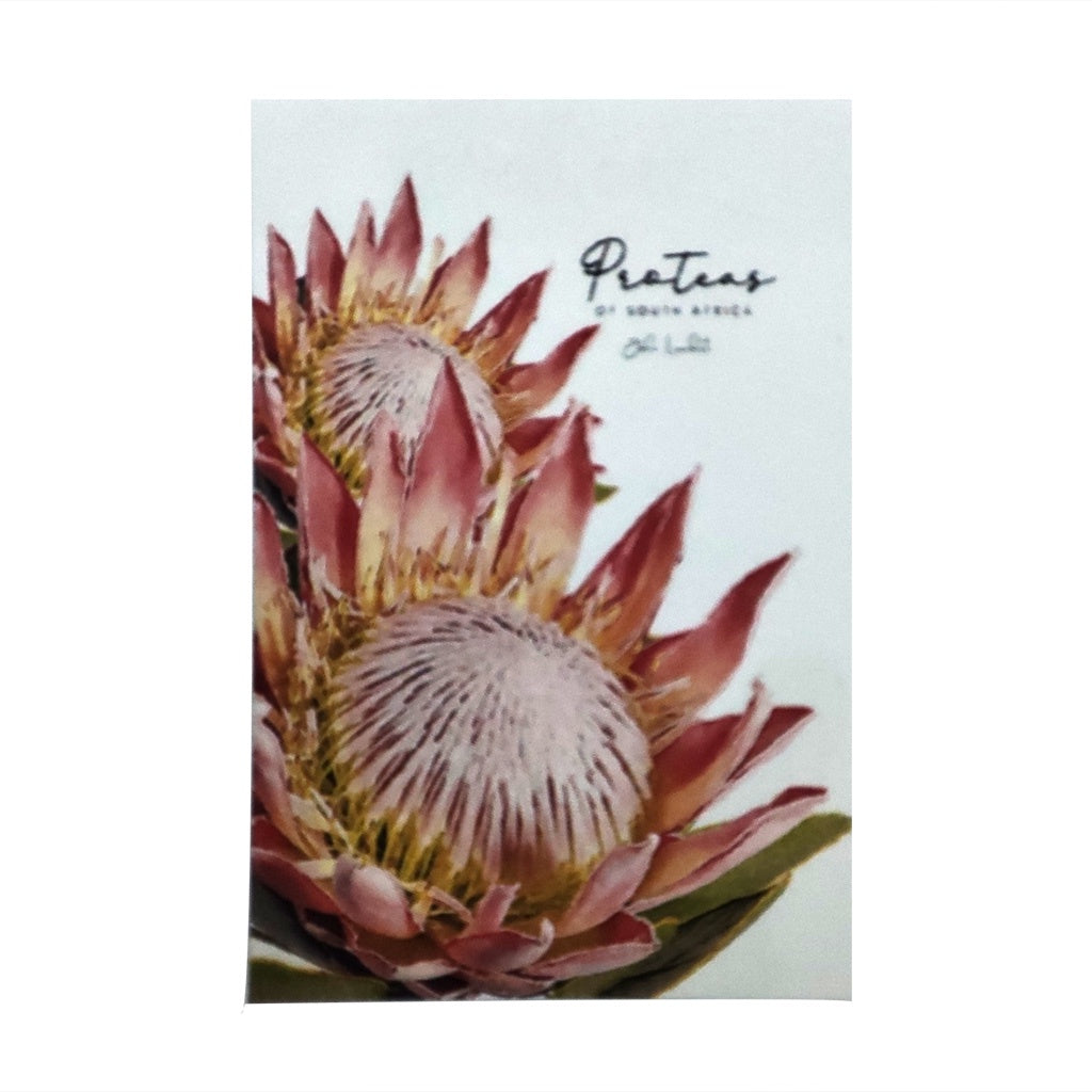 TEA TOWEL PROTEAS KING PROTEA PAIR ON THE LEFT