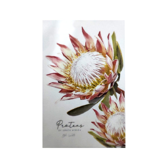 TEA TOWEL PROTEAS KING PROTEA PAIR ON THE RIGHT