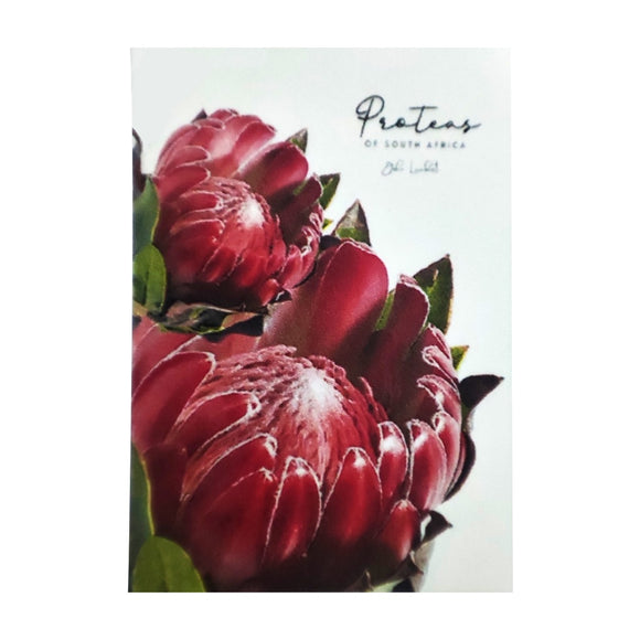TEA TOWEL PROTEAS QUEEN DEEP DARK PINK