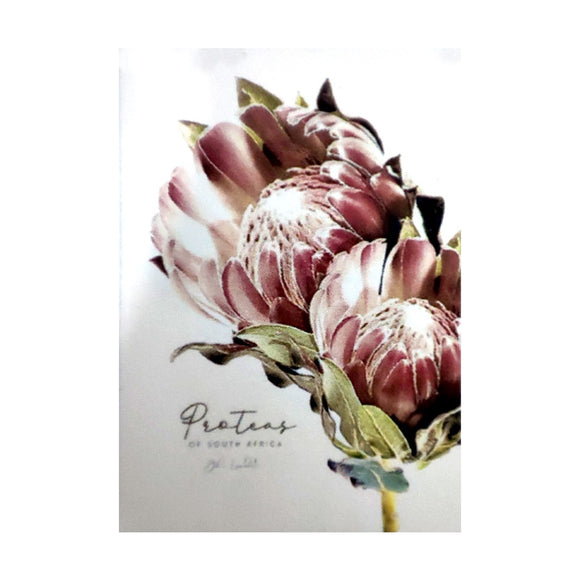 TEA TOWEL PROTEAS QUEEN DUSKY PINK