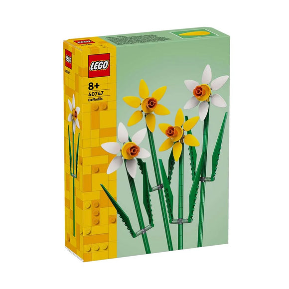 LARGE DAFFODILS