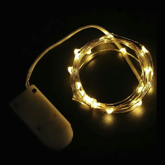 LIGHTS LED BATTERY WARM WHITE ON SILVER WIRE 2M