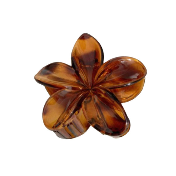 HAIR GRIP FRANGIPANI AMBER