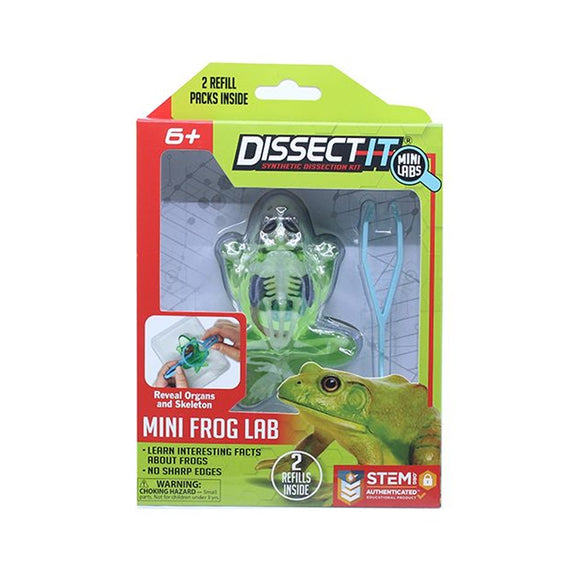 DISSECT-IT MINI FROG WITH MAGNIFYING GLASS