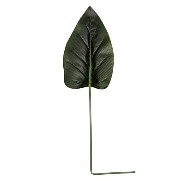 LEAF PHILODENDRON