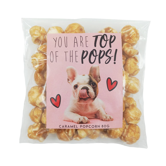 POPCORN CARAMELISED YOU'RE TOP OF THE POPS DOG PINK